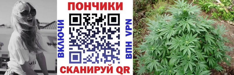 Все наркотики Углич Псилоцибиновые грибы Канабис МЕФ Гашиш